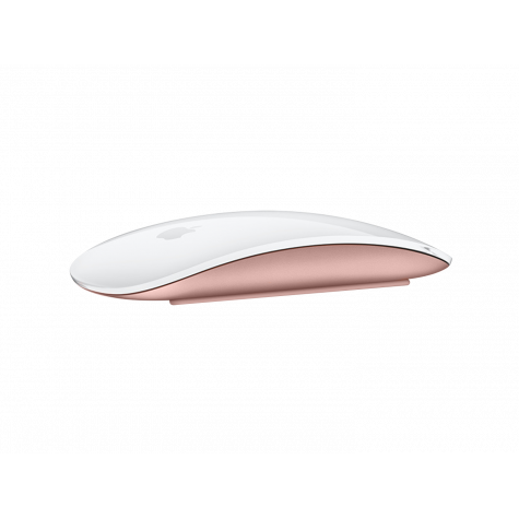 Souris Apple Magic Mouse 2 Gris Sidéral - Souris - Apple